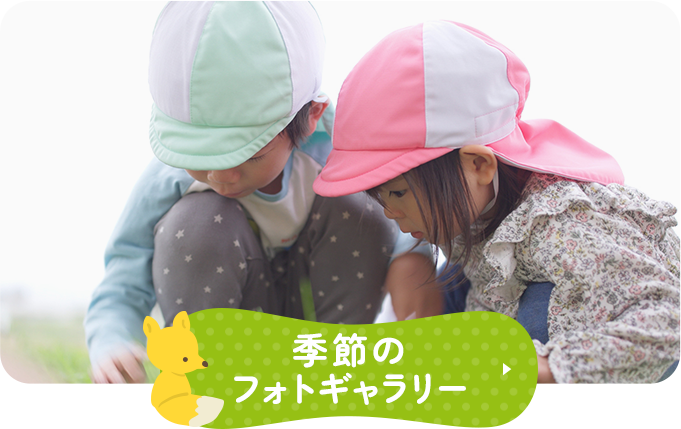 季節のフォトギャラリー